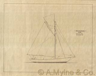 Design 100 — Sail Plan