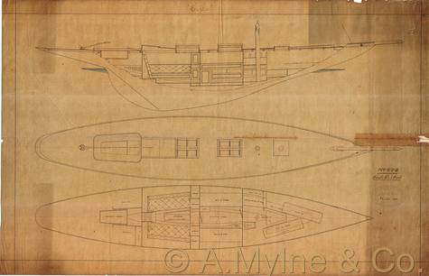 Archive drawing — Coila