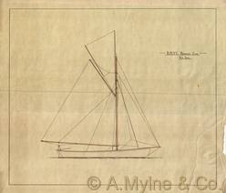 Design 135 — Sail Plan