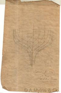 Design 154 — Lines Plan