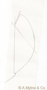Design 154 — Misc