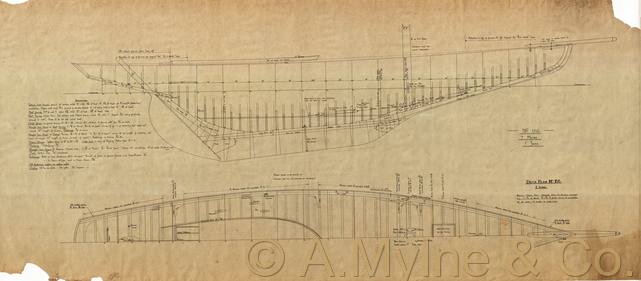 Archive drawing — Mignonette