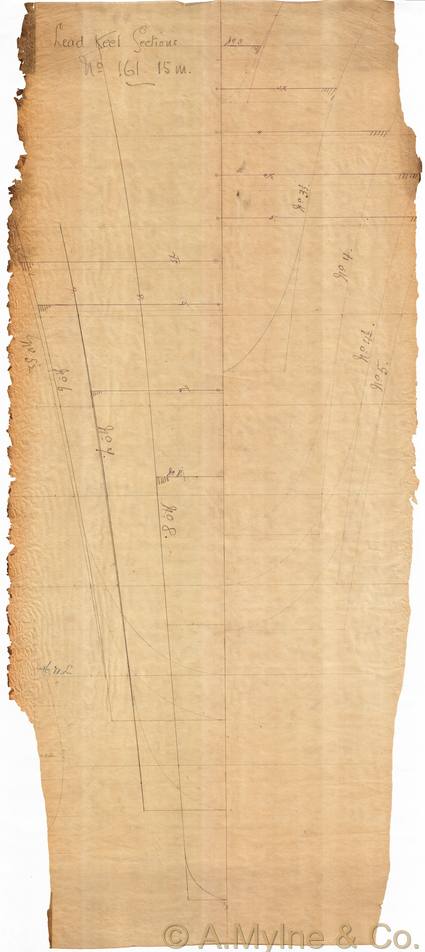 Design 161 — Lines Plan