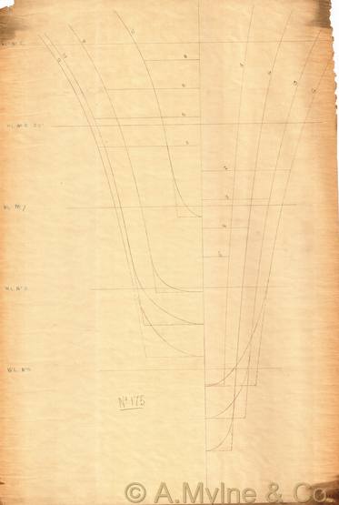 Design 175 — Lines Plan