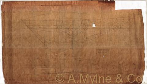 Design 19 — Lines Plan