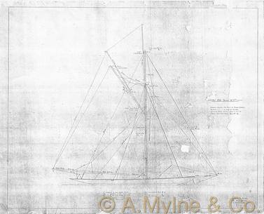 Design 195 — Sail Plan