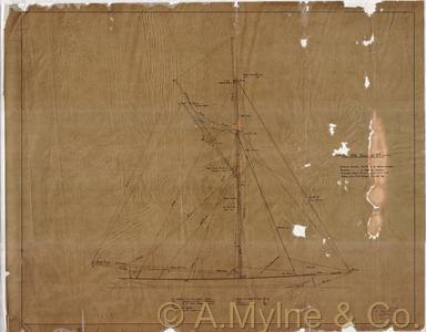 Design 195 — Sail Plan
