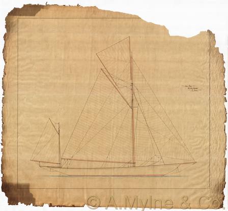 Design 2015 — Sail Plan