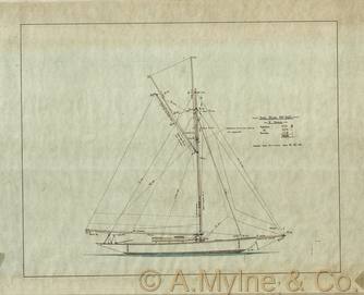 Design 207 — Sail Plan
