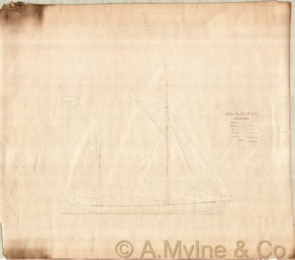 Design 213 — Sail Plan