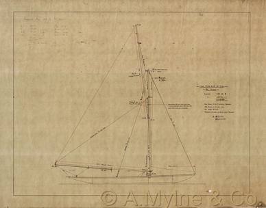 Design 228 — Sail Plan
