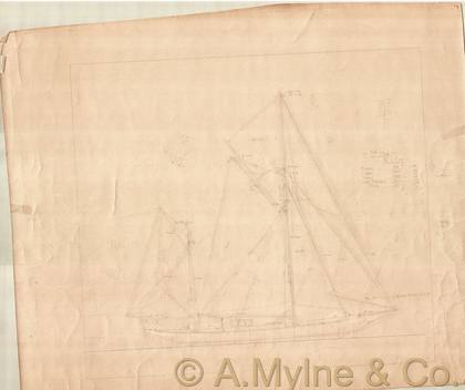 Design 236 — Sail Plan