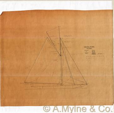 Design 237 — Sail Plan