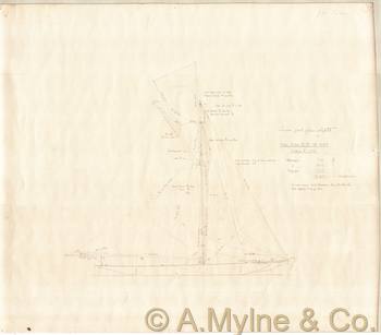 Design 237 — Sail Plan