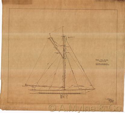 Design 243 — Sail Plan