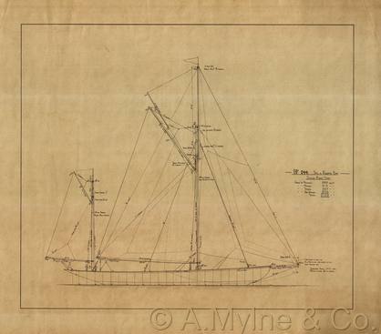 Design 244 — Sail Plan