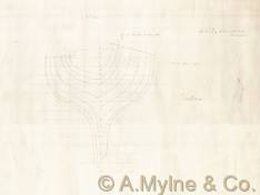 Design 275 — Lines Plan