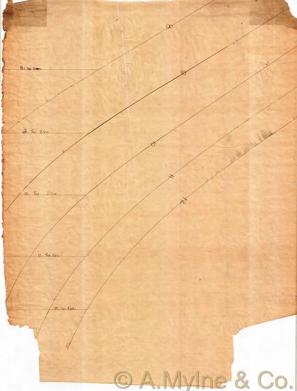 Design 295 — Lines Plan
