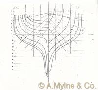 Design 302 — Lines Plan