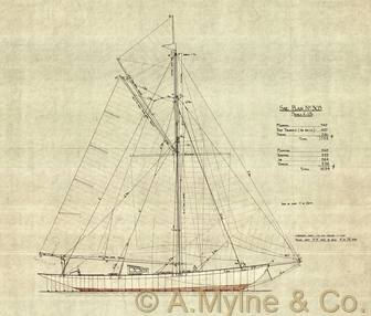 Design 303 — Sail Plan
