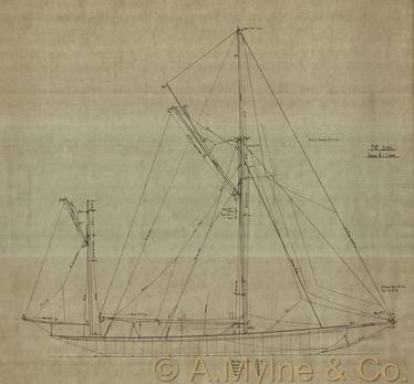 Design 304 — Sail Plan