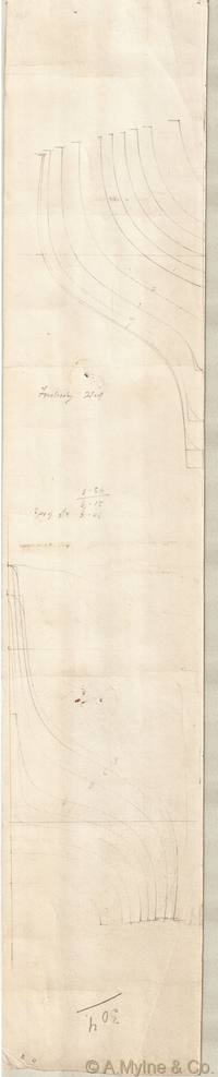Design 307 — Lines Plan