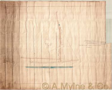 Design 31 — Sail Plan