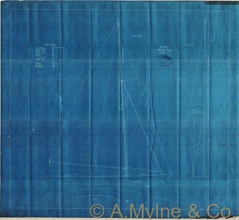 Design 310 — Sail Plan