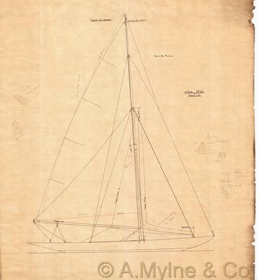 Design 310 — Sail Plan