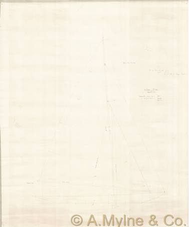 Design 310 — Sail Plan