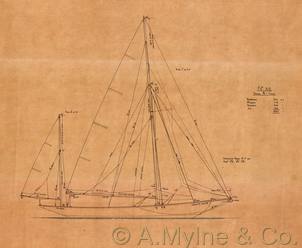 Design 312 — Sail Plan