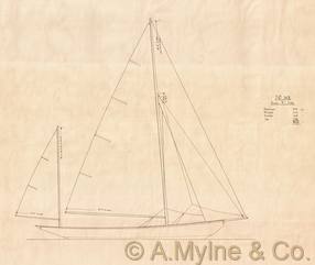 Design 312 — Sail Plan
