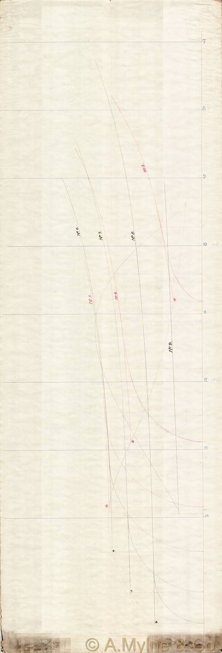 Archive drawing — Panope