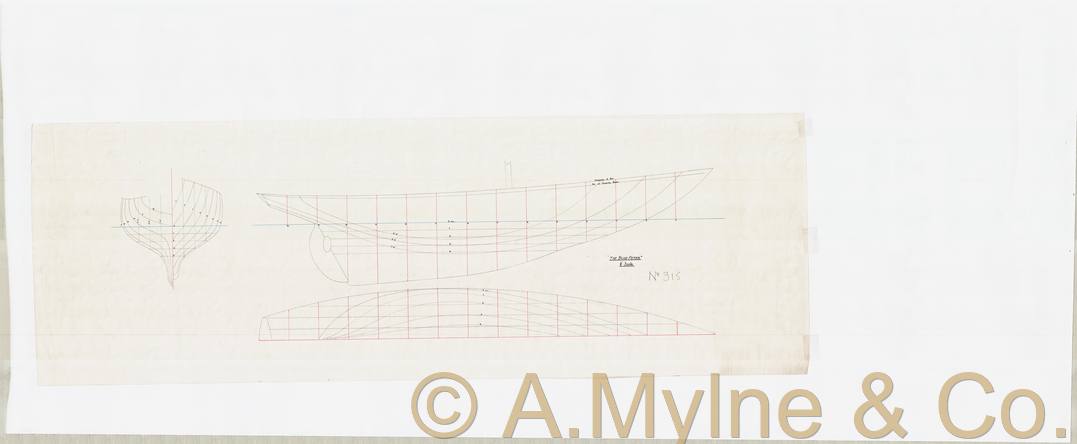 Design 315 — Lines Plan