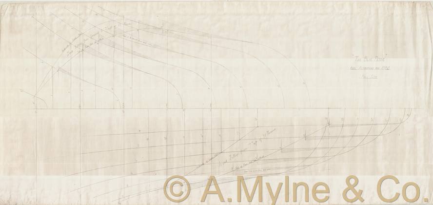 Design 315 — Lines Plan