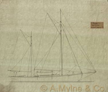 Design 318 — Sail Plan