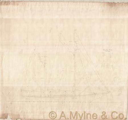 Design 318 — Sail Plan
