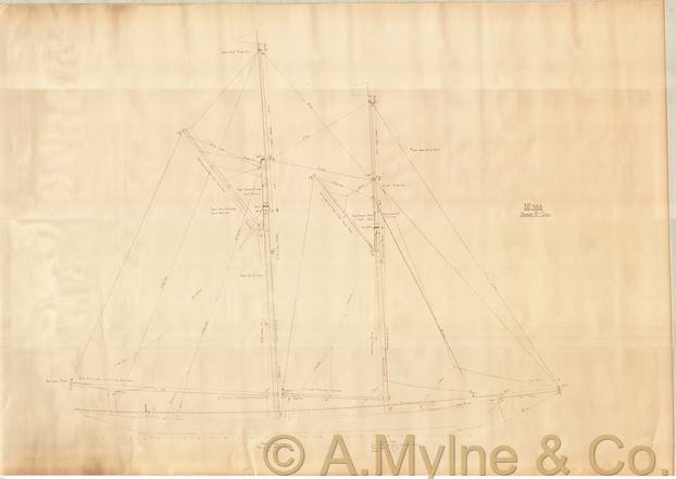 Design 335 — Lines Plan