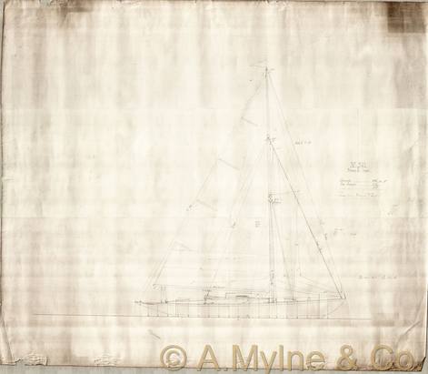 Archive drawing — Vanda