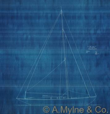 Design 349 — Sail Plan