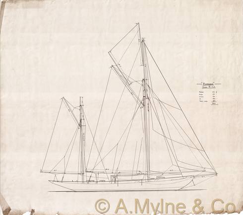 Design 351 — Sail Plan
