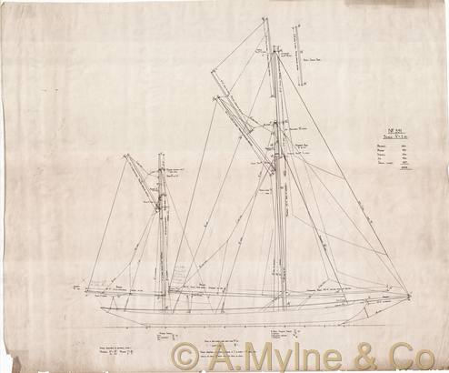 Design 351 — Sail Plan