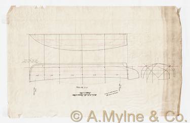 Design 390 — Lines Plan