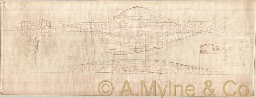 Design 393 — Lines Plan