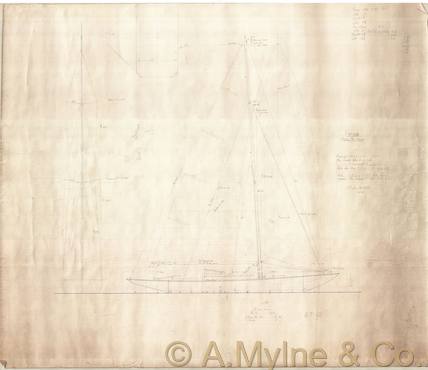 Archive drawing — Periwinkle