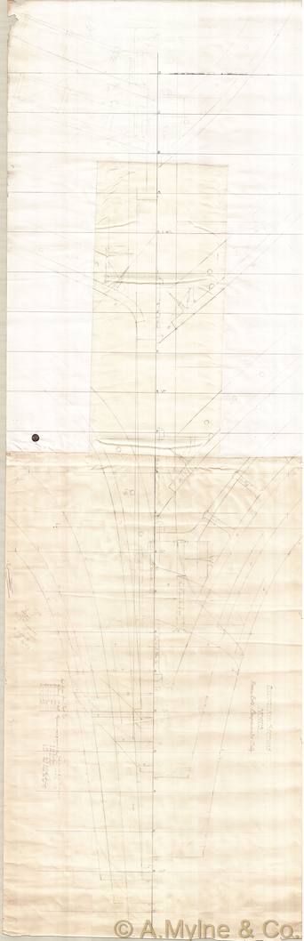 Archive drawing — Toussoum Primlea