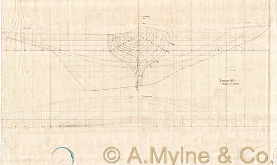 Design 405 — Lines Plan