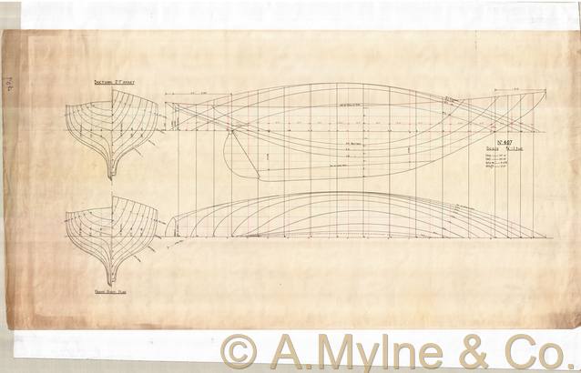 Design 407 — Lines Plan