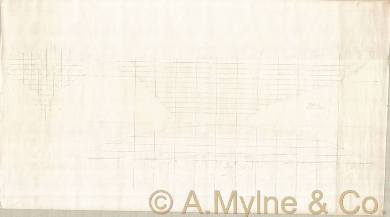 Archive drawing — Nolana