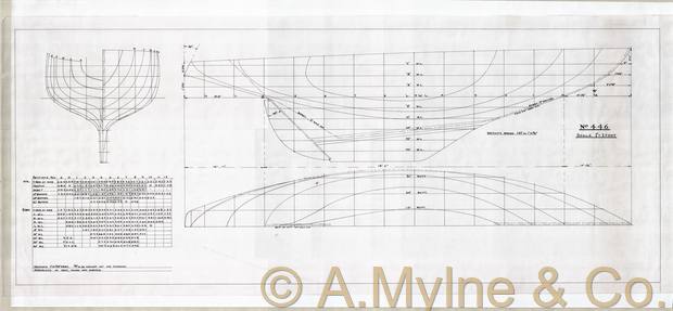 Design 446 — Lines Plan